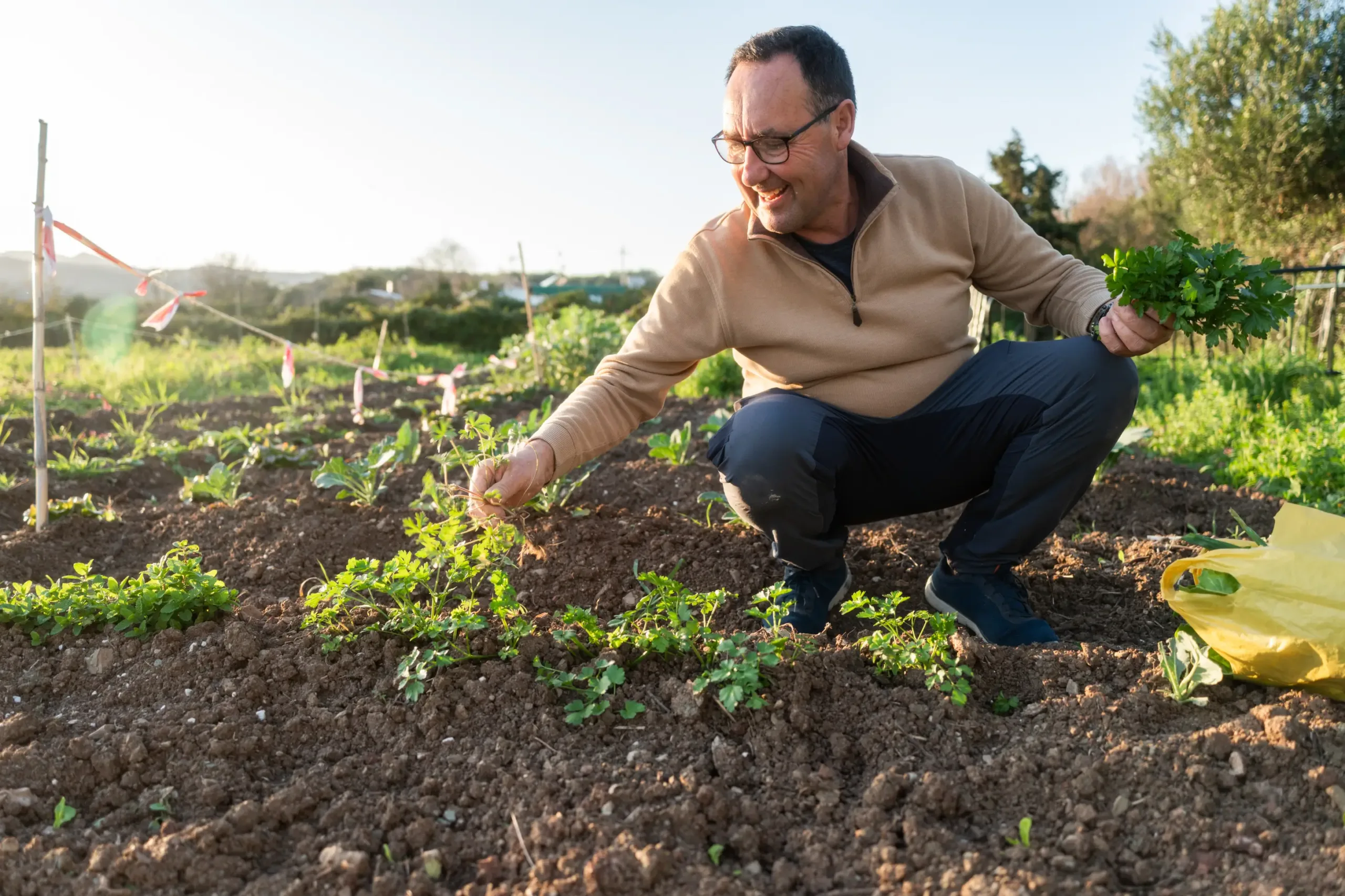 A man squats in a garden, smiling as he picks green plants from the soil, holding a bunch in one hand with a yellow bag beside him.