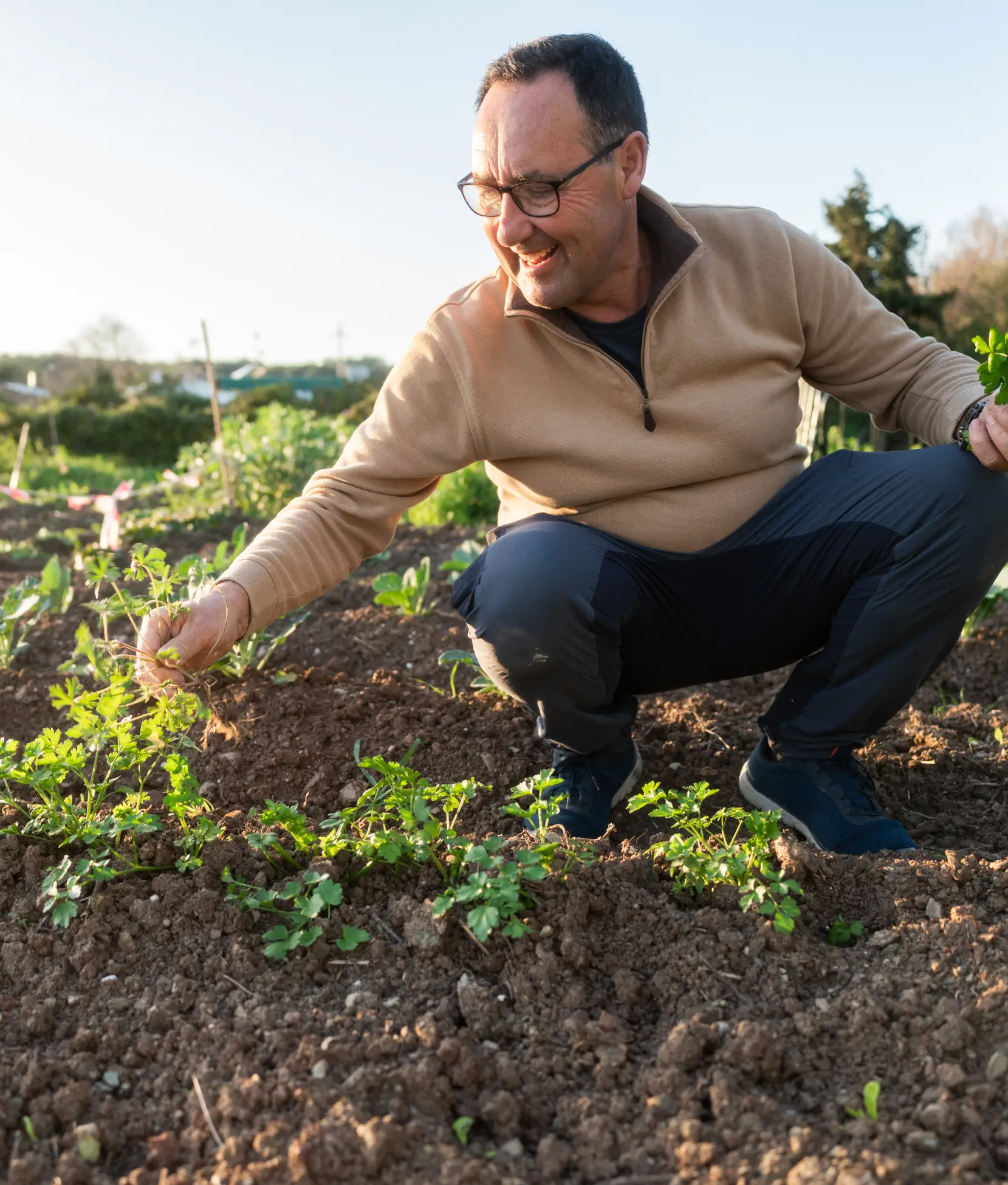 A smiling man wearing glasses crouches in a garden, tending to green plants growing in the soil on a sunny day.