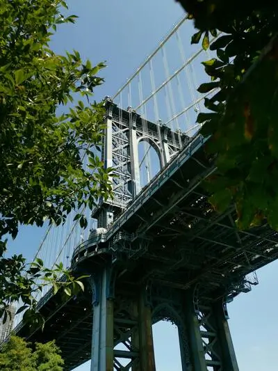 View of the Manhattan Bridge, framed by green branches and blue sky—an iconic scene near many New York credit union locations.